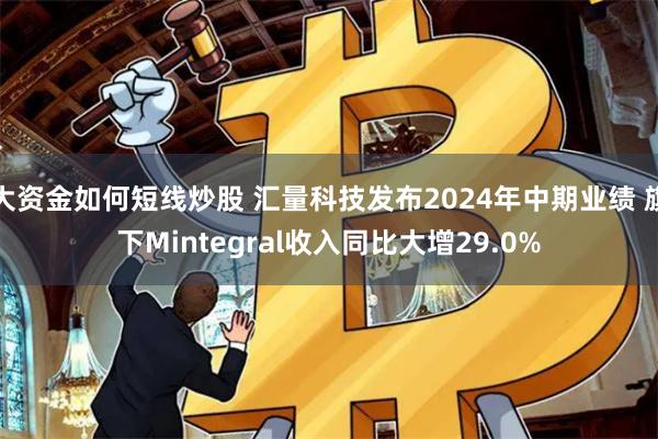 大资金如何短线炒股 汇量科技发布2024年中期业绩 旗下Mintegral收入同比大增29.0%